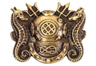 Diving Officer (DV) Diving Officer (DV)